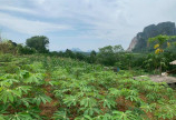 Bán đất Cao Phong Hòa Bình DT 4000m/2000 thổ cư.