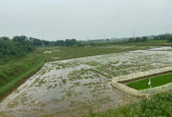 Bán đất Lương Sơn Hòa Bình 2824m2 có 400 ONT view cánh đồng siêu đẹp