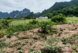 Bán đất Lương Sơn Hòa Bình DT 2661m2 có 400 ONT, lưng tựa núi view cánh đồng.