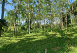 Bán đất Kim Bôi Hòa Bình DT 4490m2 full đất ở giá tốt.