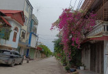Bán 108m2 đất trung tâm quận Đồ SƠn, Hải Phòng.