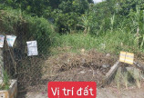 Bán lô đất 2 mặt tiền 150m2 thổ cư Trịnh Như Khuê, Bình Chánh