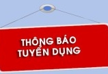 Tuyển kế toán trưởng có bằng đại học làm tại Thuận An Bình Dương